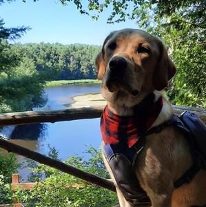 Meet your Posher, Vicky